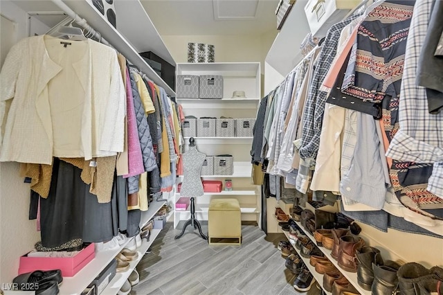 spacious closet featuring hardwood / wood-style floors