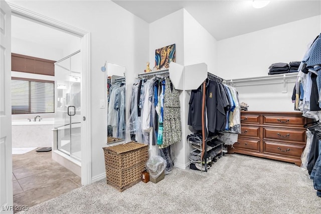 spacious closet featuring light colored carpet