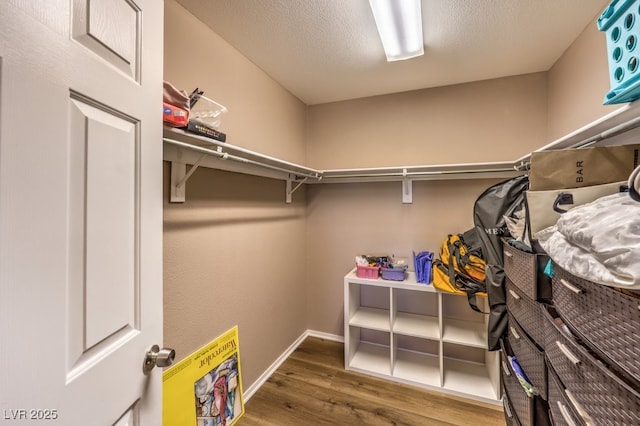 walk in closet with dark hardwood / wood-style floors