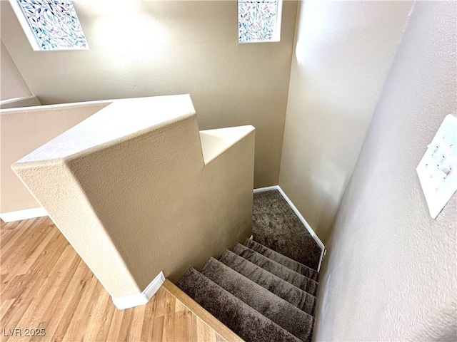 stairway featuring wood-type flooring