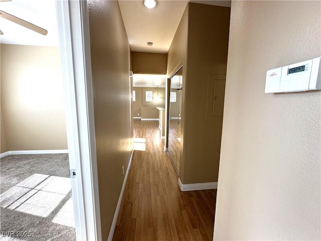 corridor featuring hardwood / wood-style flooring