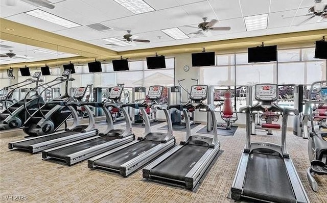 gym with carpet, a paneled ceiling, and ceiling fan