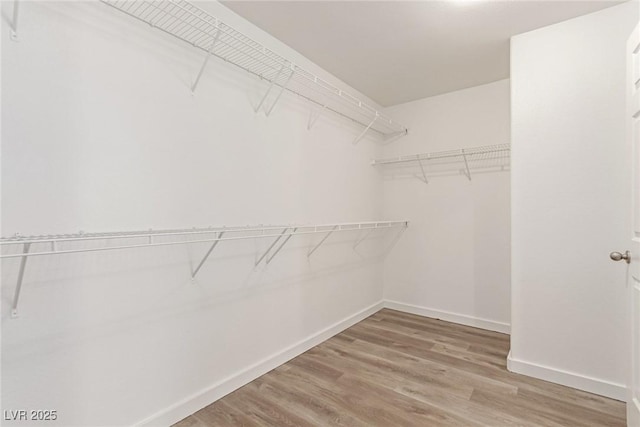 walk in closet with hardwood / wood-style flooring