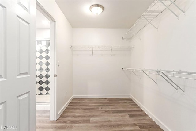 walk in closet with wood-type flooring