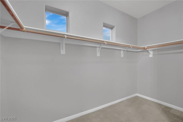 spacious closet with carpet