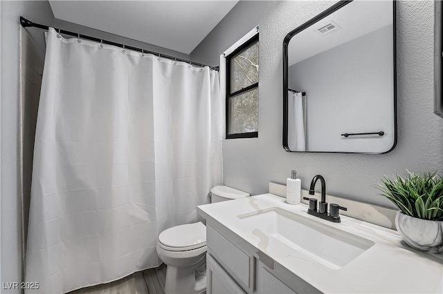 bathroom with vanity, toilet, and wood-type flooring