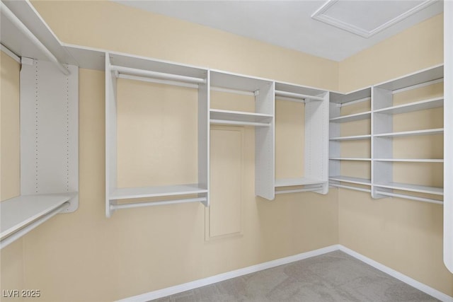 spacious closet with light colored carpet