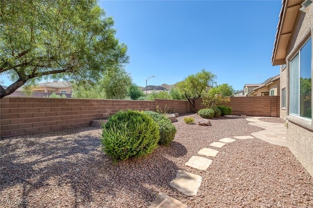 view of yard with a patio