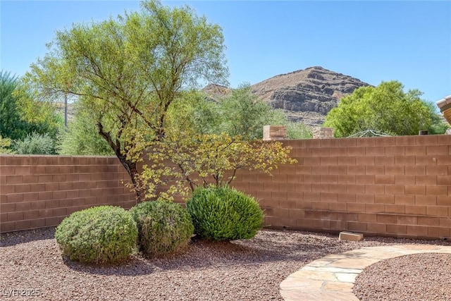 view of yard featuring a mountain view