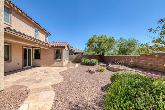 view of yard featuring a patio area