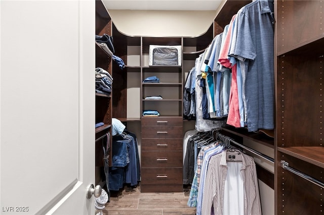 spacious closet with light hardwood / wood-style flooring