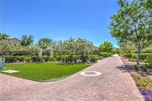 view of home's community with a yard