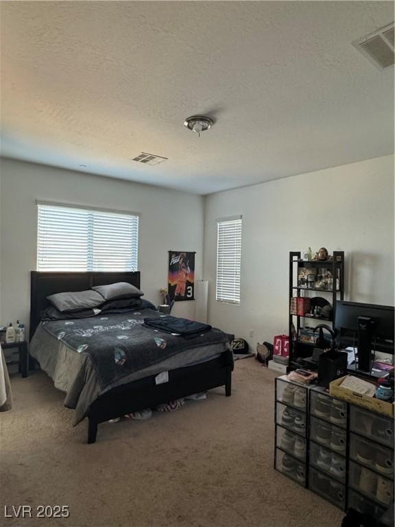 bedroom with carpet floors, a textured ceiling, and multiple windows