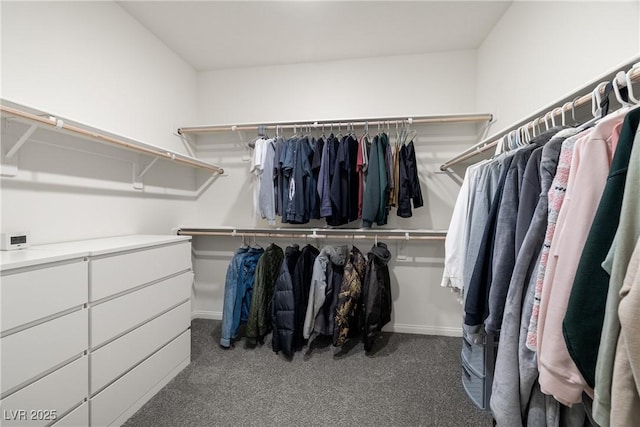 walk in closet with dark colored carpet