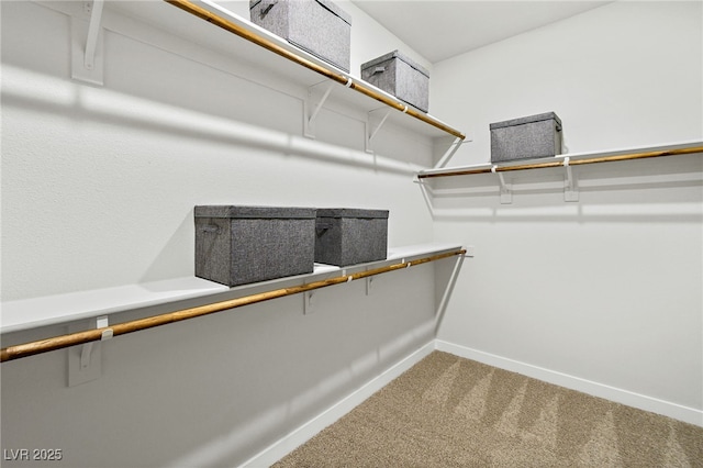 spacious closet with carpet flooring