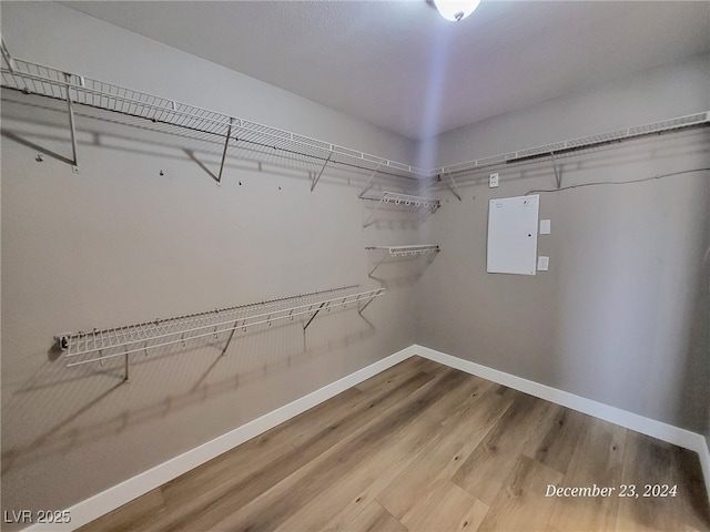 walk in closet with wood-type flooring