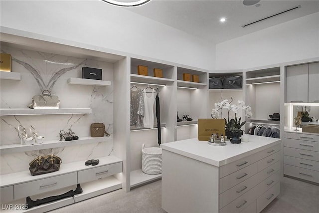 view of walk in closet