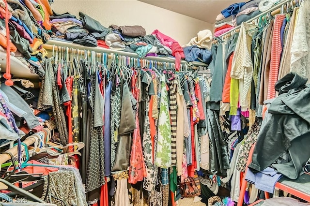 spacious closet featuring carpet floors