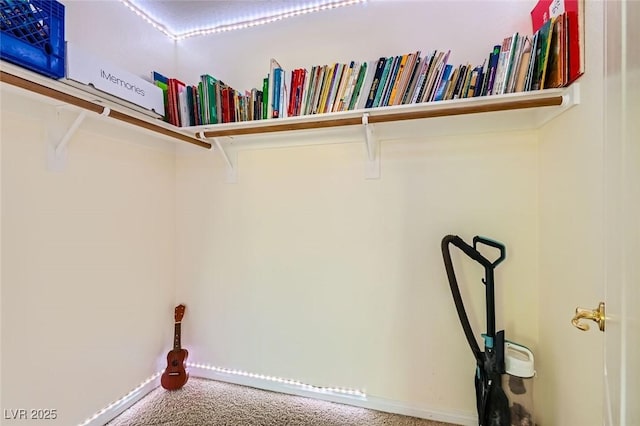 spacious closet featuring carpet flooring