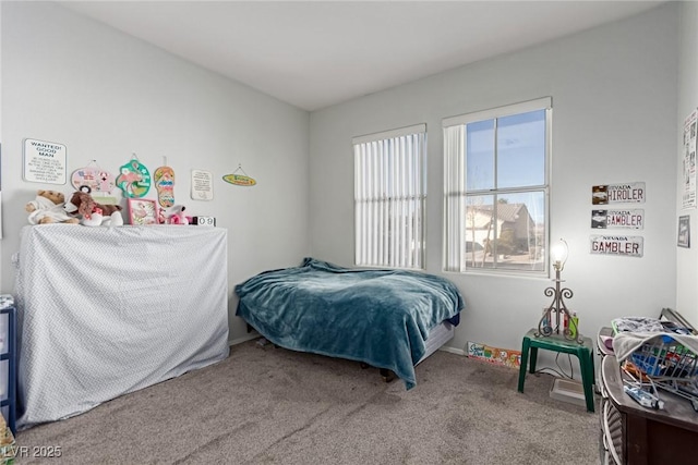 bedroom with carpet floors