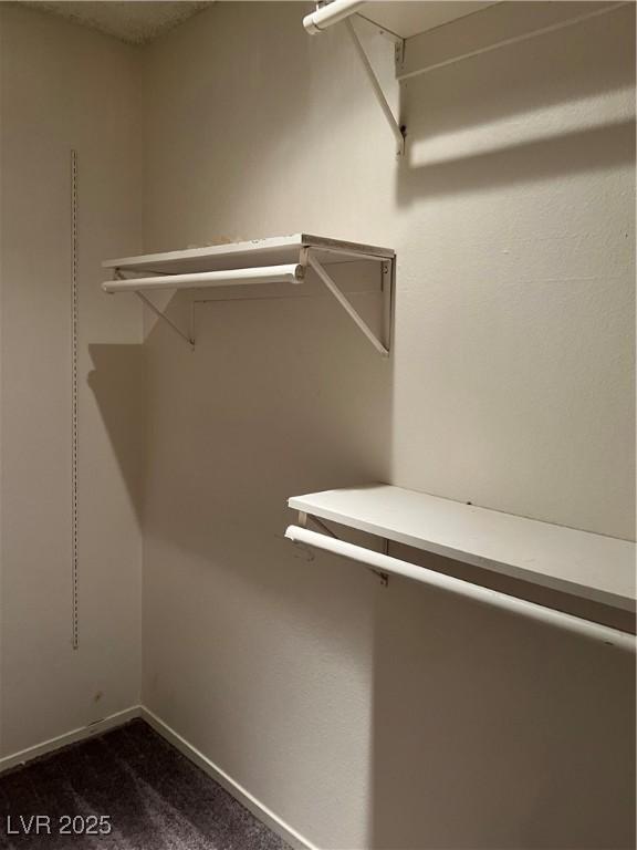 spacious closet featuring dark colored carpet