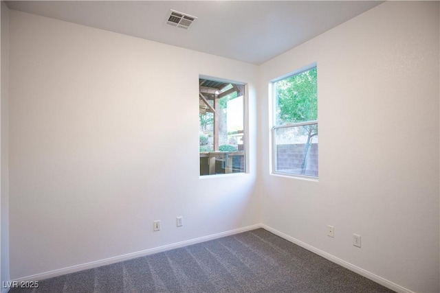 unfurnished room with carpet floors