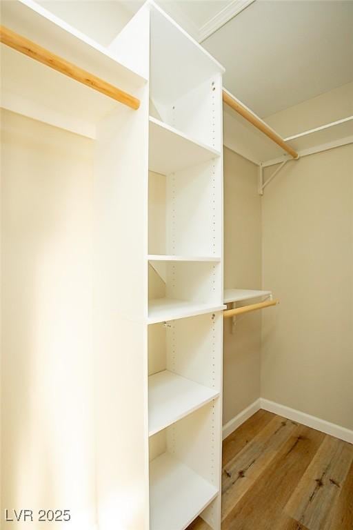 spacious closet featuring hardwood / wood-style flooring