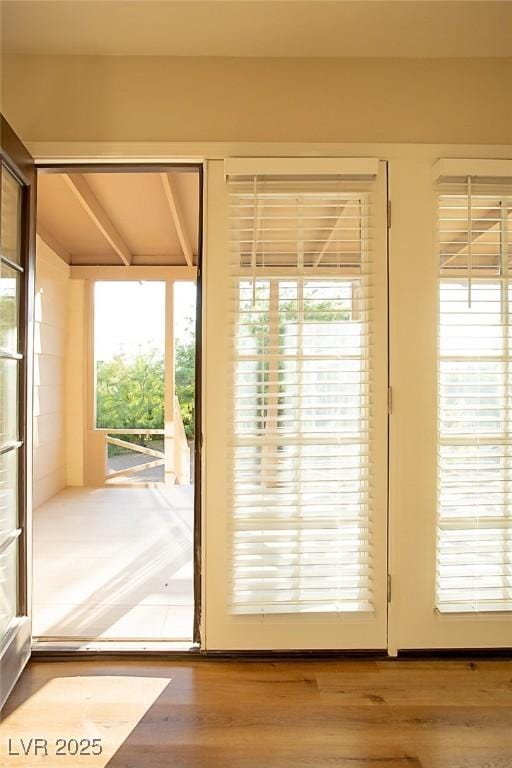 doorway with hardwood / wood-style floors and a healthy amount of sunlight