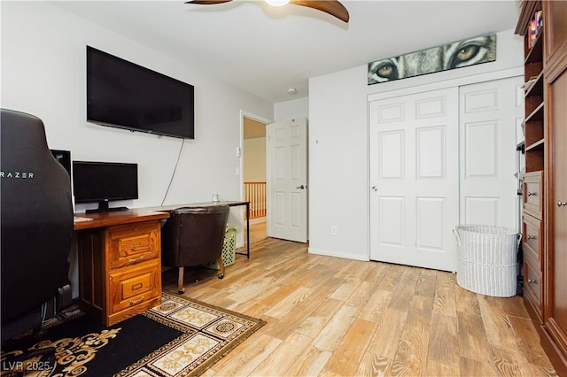 office with ceiling fan and light hardwood / wood-style flooring