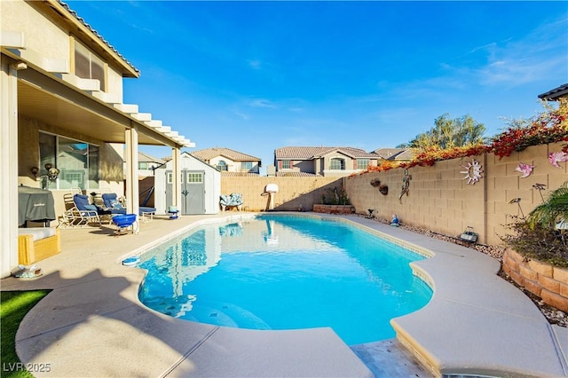 view of swimming pool with a patio and a storage unit