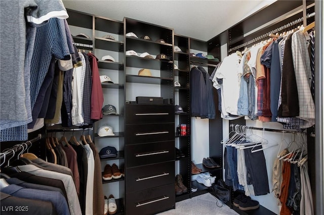 walk in closet featuring carpet floors