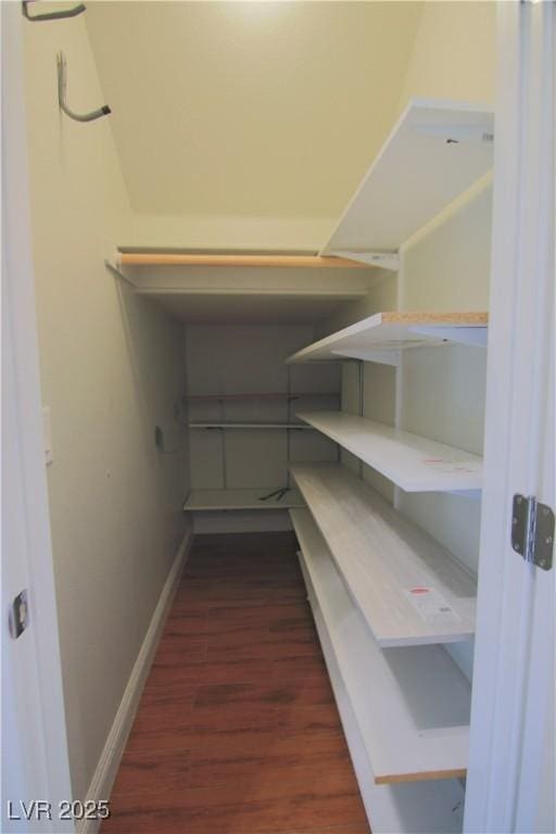 walk in closet featuring dark hardwood / wood-style flooring