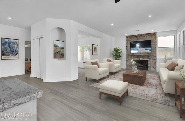 living room with a fireplace and hardwood / wood-style flooring