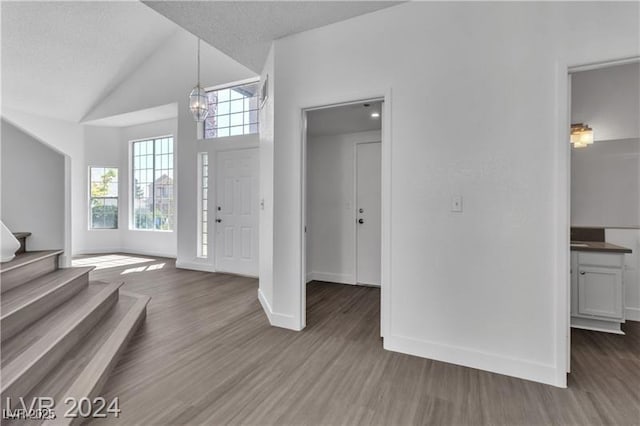 foyer entrance with a chandelier and dark hardwood / wood-style floors