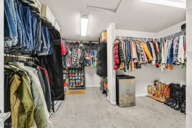 spacious closet with carpet floors