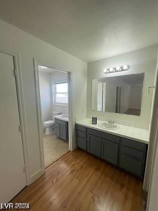 bathroom featuring hardwood / wood-style floors, vanity, and toilet