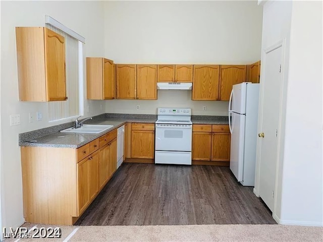 kitchen with dark hardwood / wood-style flooring, white appliances, and sink