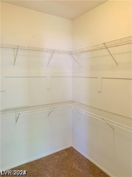 walk in closet featuring carpet flooring