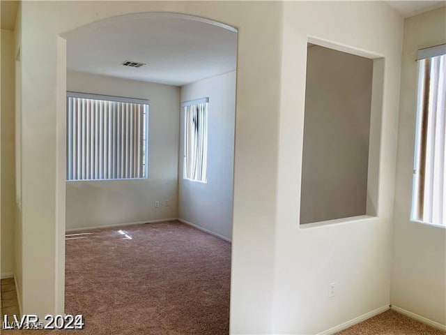 carpeted spare room featuring a wealth of natural light