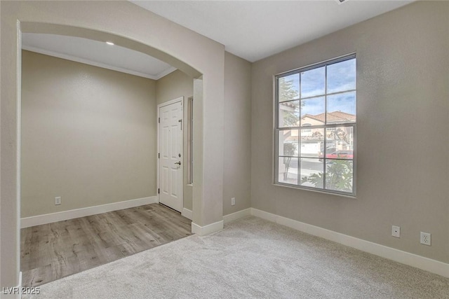 empty room featuring light colored carpet and ornamental molding