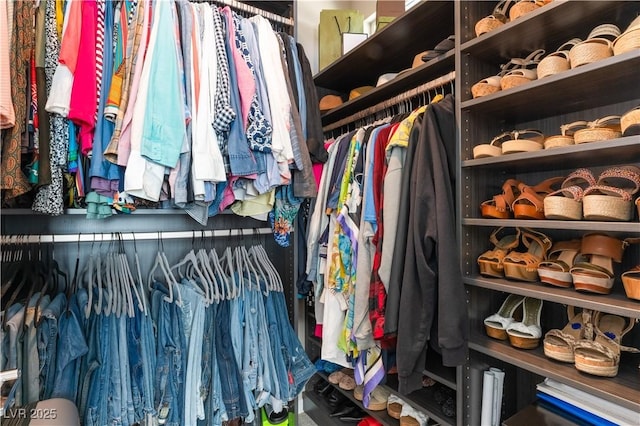 view of walk in closet