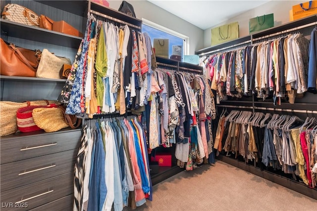 walk in closet featuring light colored carpet