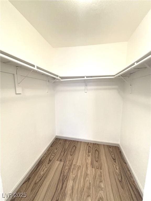 spacious closet with wood-type flooring