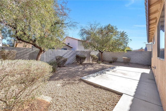 view of yard featuring a patio area