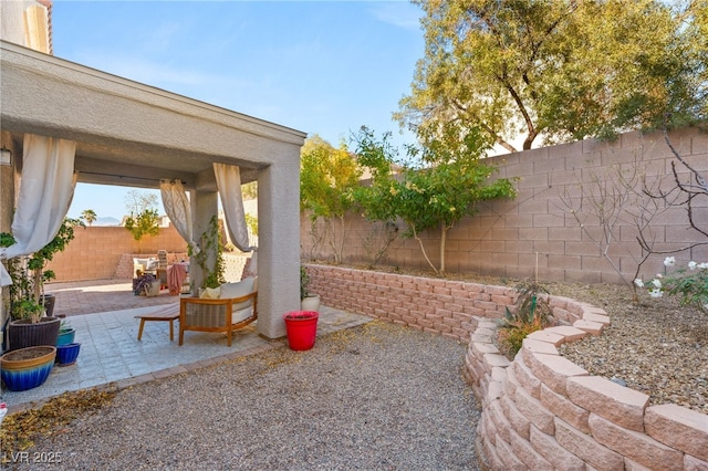 view of yard featuring a patio