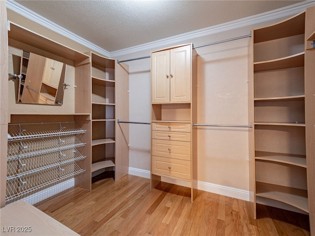 spacious closet featuring light wood-type flooring