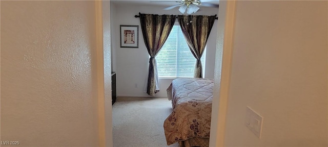 hallway with carpet