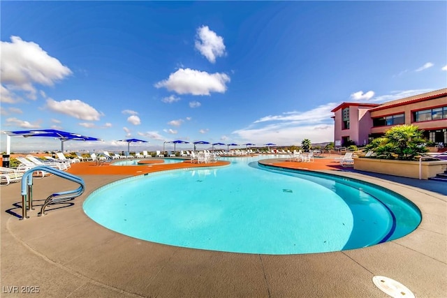 view of swimming pool with a patio area