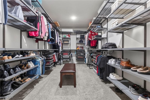 spacious closet featuring carpet floors