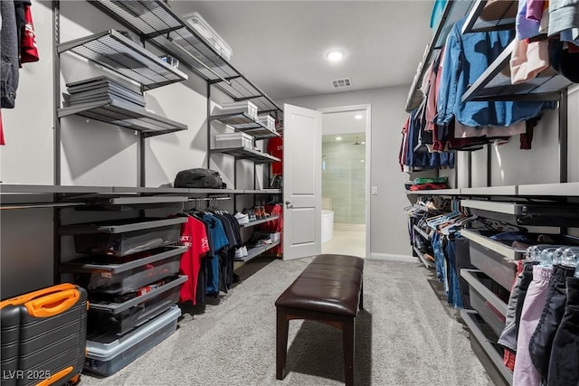 walk in closet featuring carpet floors